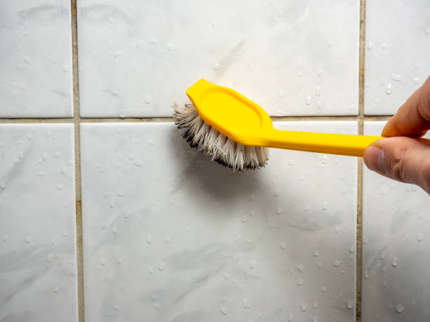 Best Bathroom Mold Remediation in East Troy, WI