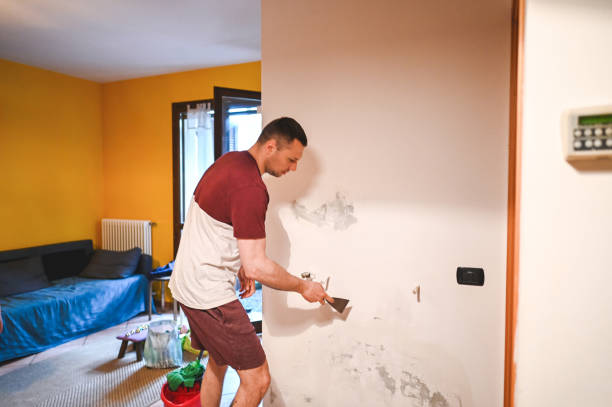 Best Black Mold Remediation in East Troy, WI